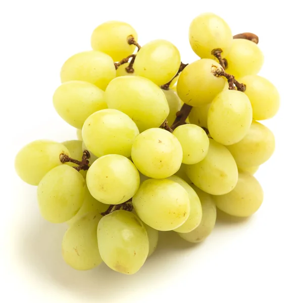 Verse druiven — Stockfoto