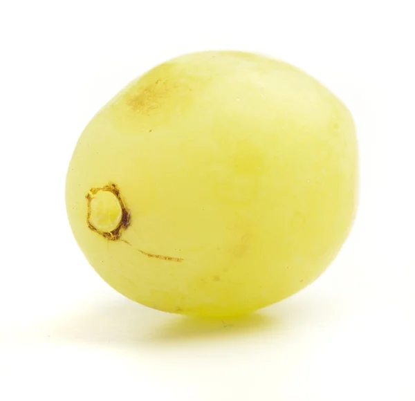 孤立在白色背景上的简单葡萄 — 图库照片