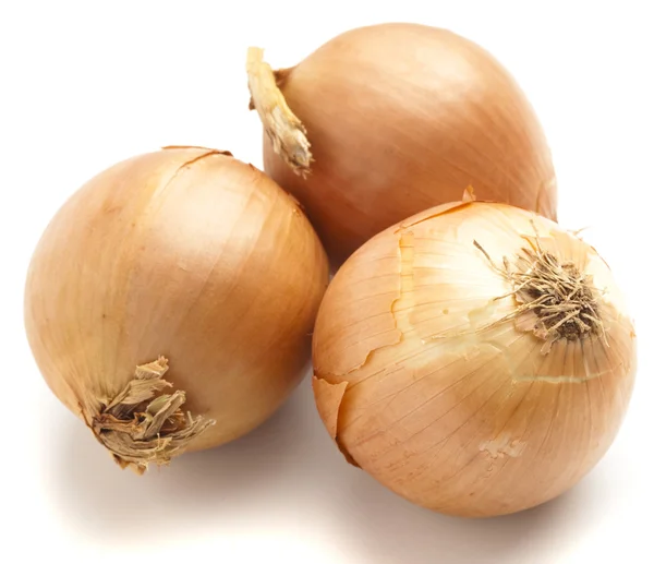 Onion pile Stock Image