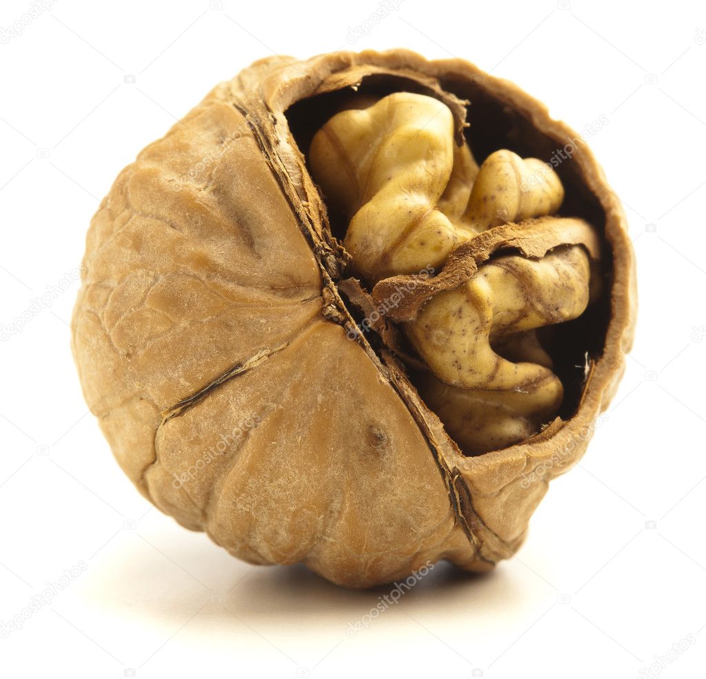 unshelled nut isolated on a white background