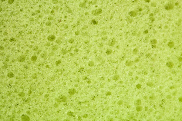 Yeşil scourer — Stok fotoğraf