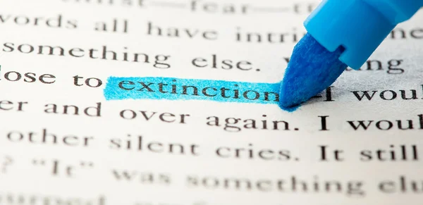 Extinction kelime — Stok fotoğraf