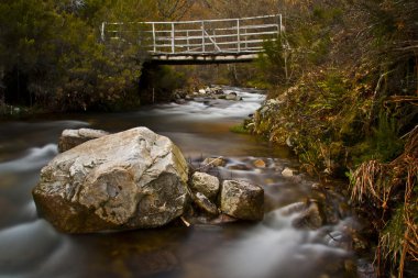 Puente de madera clipart