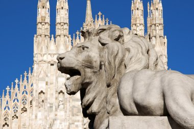 Stone lion from the basement of the monument to King Vittorio Emanuele the second in front of the gothic facade of Milan Cathedral in Piazza Duomo. clipart