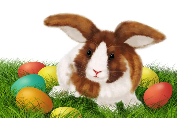 Easter card with rabbit — Stock Photo, Image