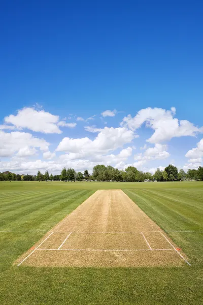 Cricket Pitch Hintergrund — Stockfoto