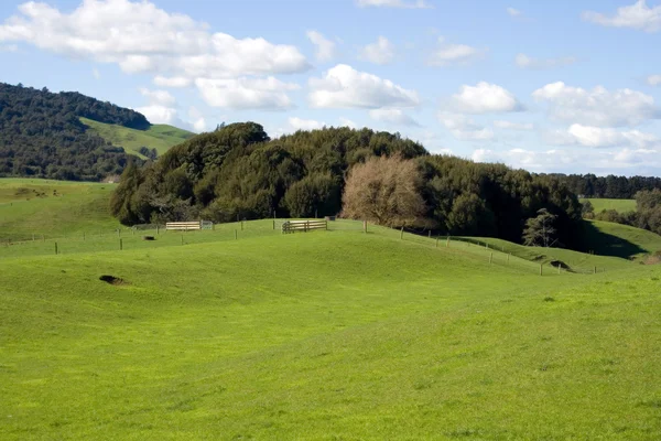 Zielony krajobraz wiejski — Zdjęcie stockowe