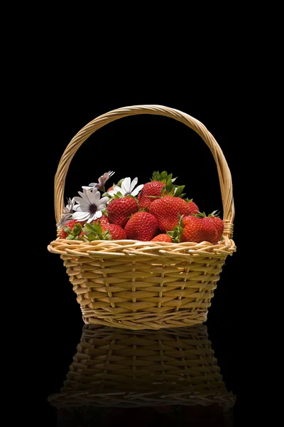 Erdbeeren im Korb Stockfoto