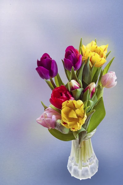 Tulipány na Velikonoce — Stock fotografie