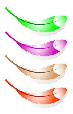 four different vector feathers clipart