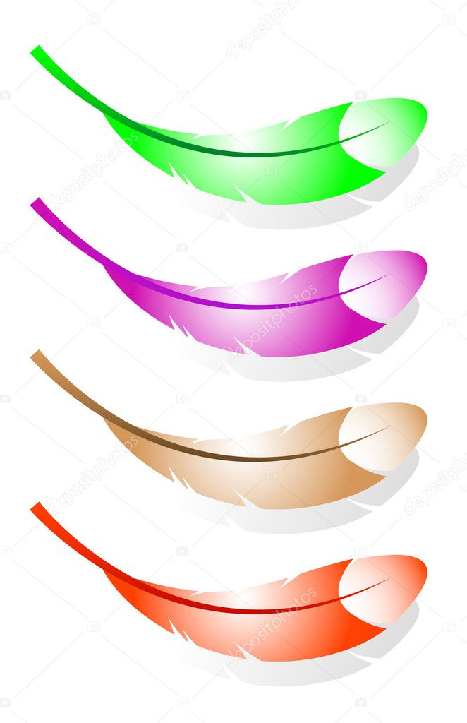 four different vector feathers