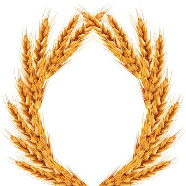 White background with ears of wheat on it clipart