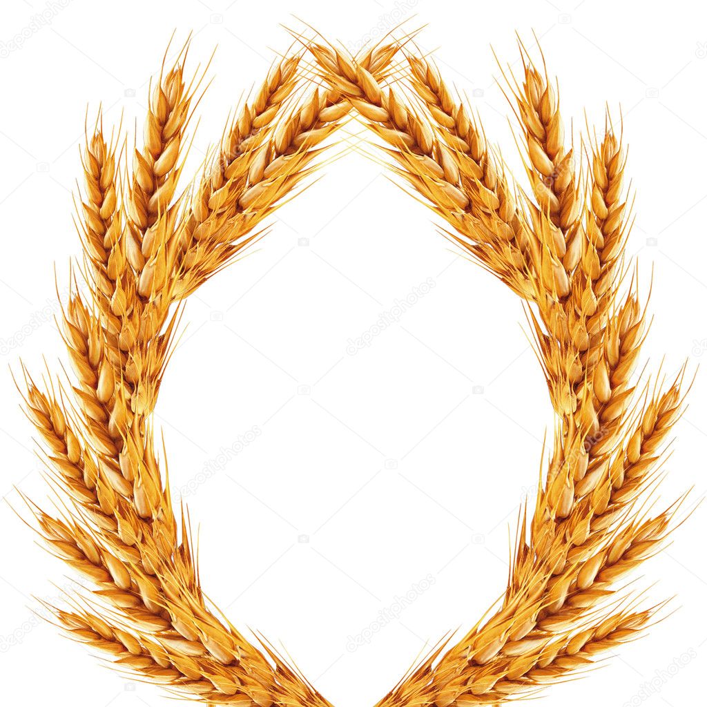 White background with ears of wheat on it