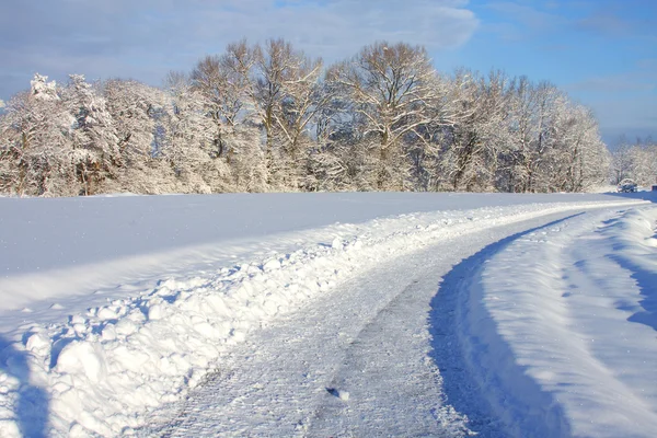 stock image Winter Landscape