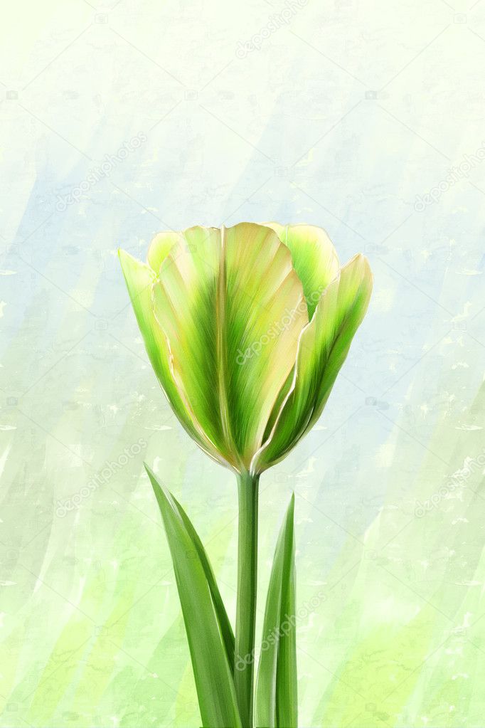 One nice green tulip