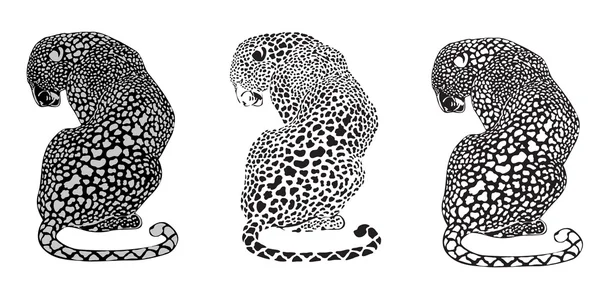 Sauvage grand chat tacheté — Image vectorielle