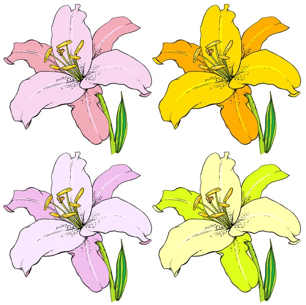 Vector lily bloem — Stockvector