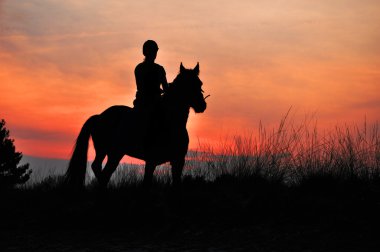 A Rider Silhouette on Horseback by sunset clipart