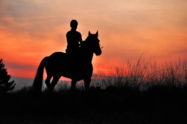 Uma Silhueta Cavaleiro Cavalo Pôr Sol — Fotografia de Stock