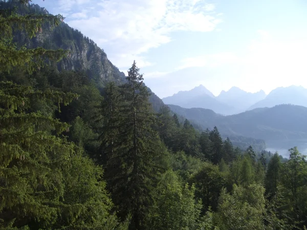 阿尔卑斯大区的景观 图库照片