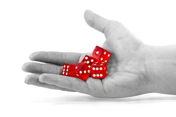 Dice In The Hand — Stock Photo, Image