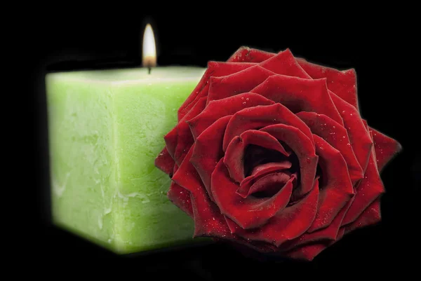 Rote Rose und grüne Kerze — Stockfoto