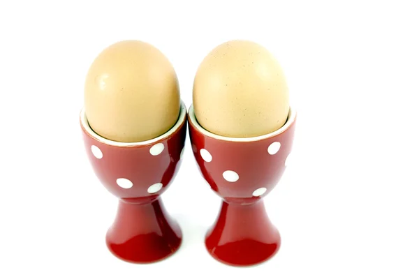 Два Яйца Кокере — стоковое фото