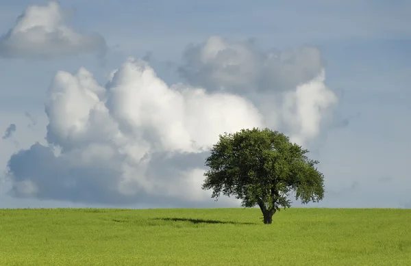 Cloudy landscape — Stock Photo, Image
