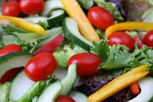 stock image Healthy Salad