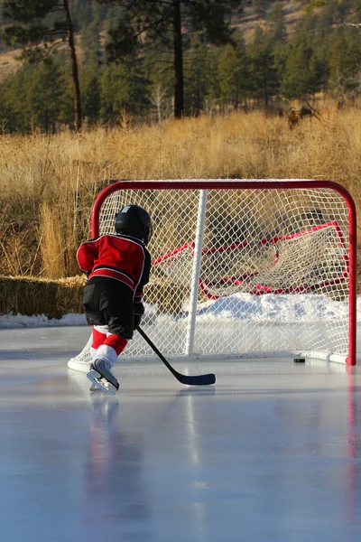 Hockey su laghetto Fotografia Stock