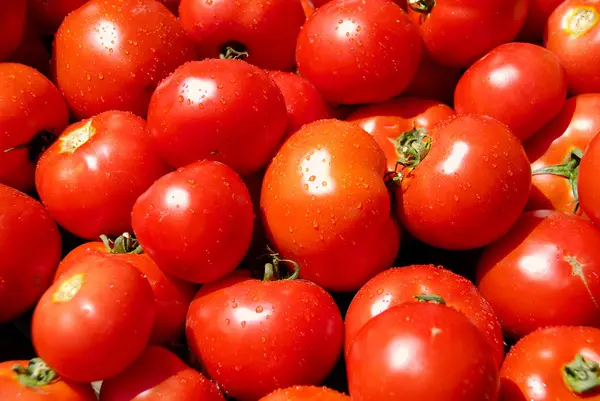 A pile of dewily red tomatoes — Stock Photo, Image