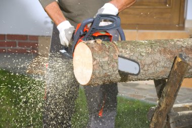 The chainsaw cutting the log of wood clipart