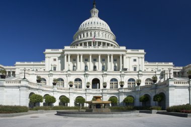 The US Capitol in Washington D.C. clipart