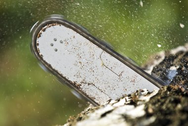 The chainsaw blade cutting the log of wood clipart