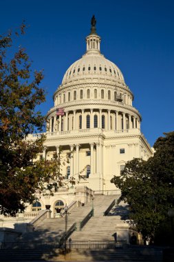 The US Capitol in the autumn clipart