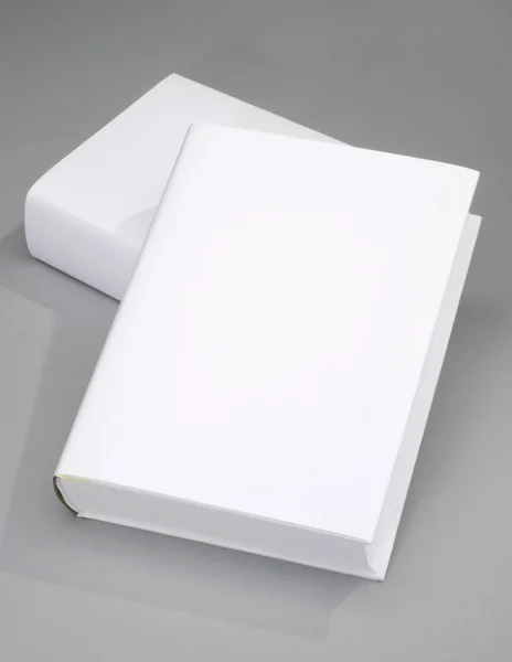 Zwei Dicke Blankobücher Mit Weißem Einband — Stockfoto