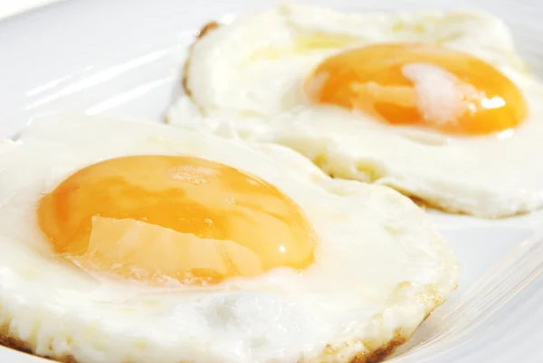 stock image Two eggs