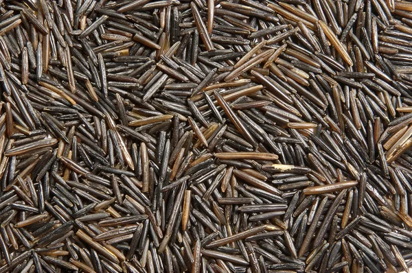 Wild Rice Texture Closeup — Stock Photo, Image