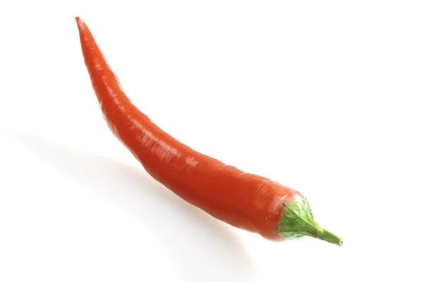 Сингл Red Chilli Pepper Белом — стоковое фото