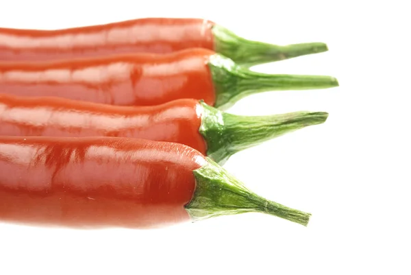 Čtyři Červené Chilli Papričky — Stock fotografie
