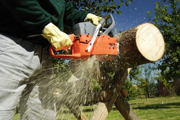 The chainsaw — Stock Photo, Image