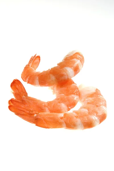 Three Red Shrimps White Background — Stock Photo, Image
