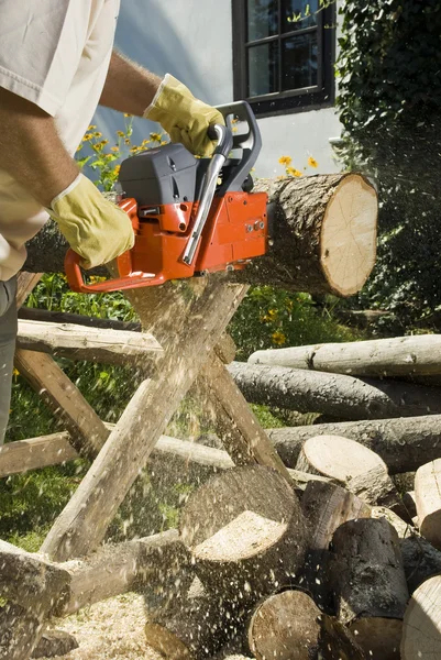 Chainsaw Cutting Log Wood — Stock Photo, Image