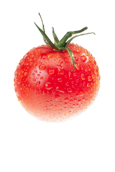 明るい白い背景の上の露のトマト — ストック写真