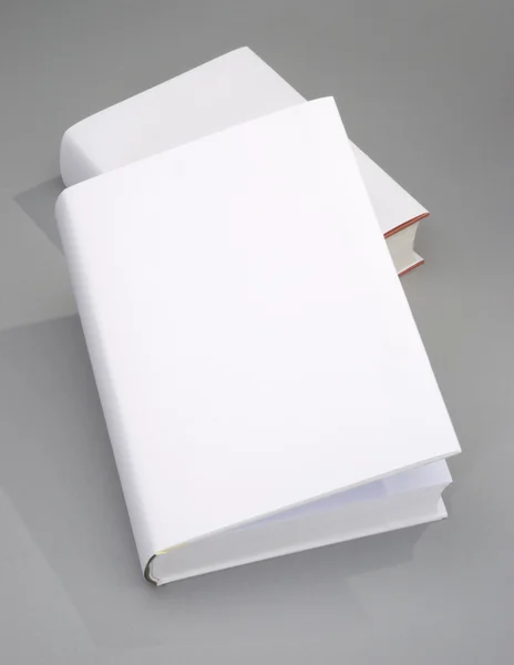 Duas capas de livro em branco — Fotografia de Stock