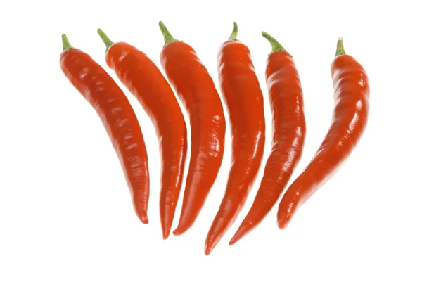 Dav Červené Chilli Papričky — Stock fotografie