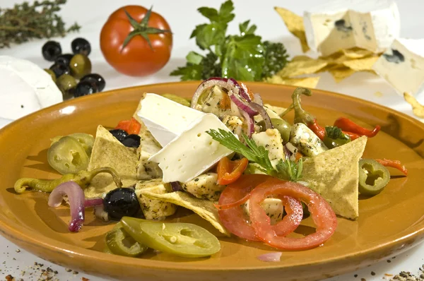 チーズ料理メキシコ スタイル — Stock fotografie