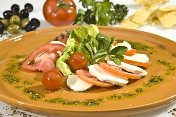 Mozzarella Dish Tomato Lettuce Spinach — Stock Photo, Image