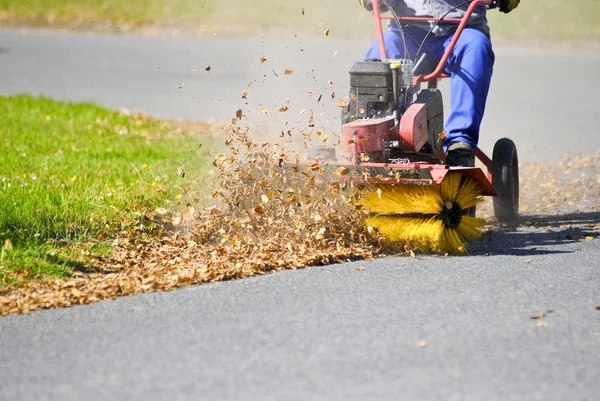 Clean Street Leaves — Stock Photo, Image