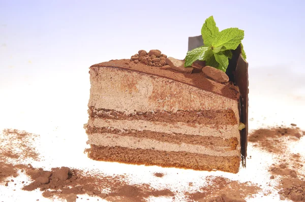 巧克力蛋糕 接地椰子和可可粉 — 图库照片